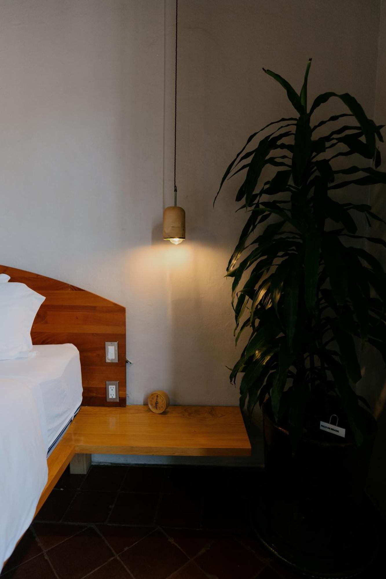 Grana B&B Oaxaca Exteriér fotografie
